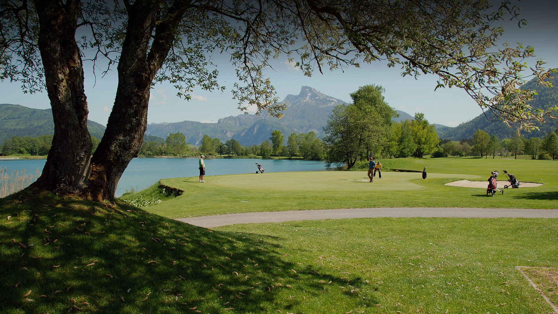 Slider Image